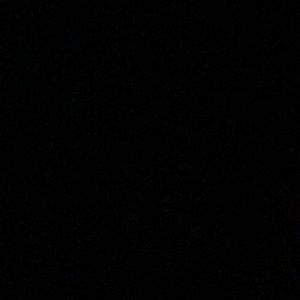 Meet your Posher, Tracey